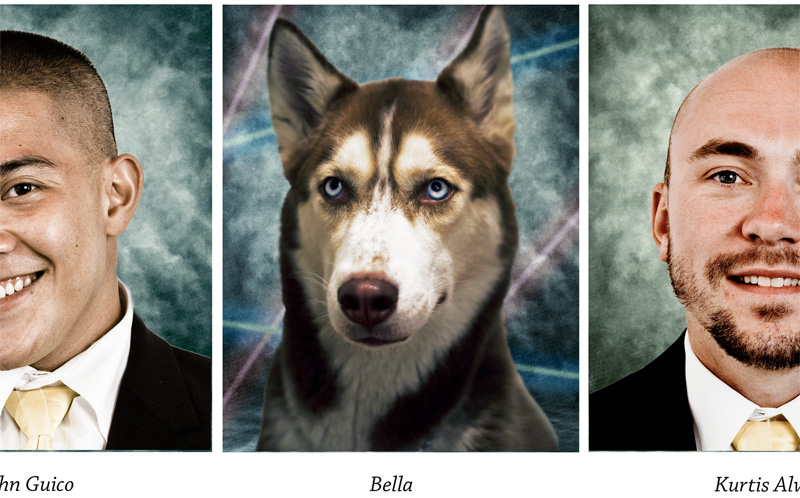 Illustration for article titled 369 Absolutely Adorable Pet Wallpapers
